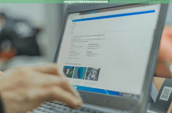 西安税务 有几个开票系统 西安税务开票系统操作指南