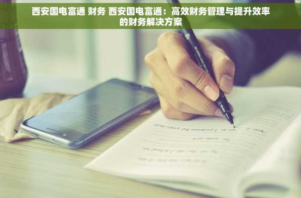 西安国电富通 财务 西安国电富通：高效财务管理与提升效率的财务解决方案