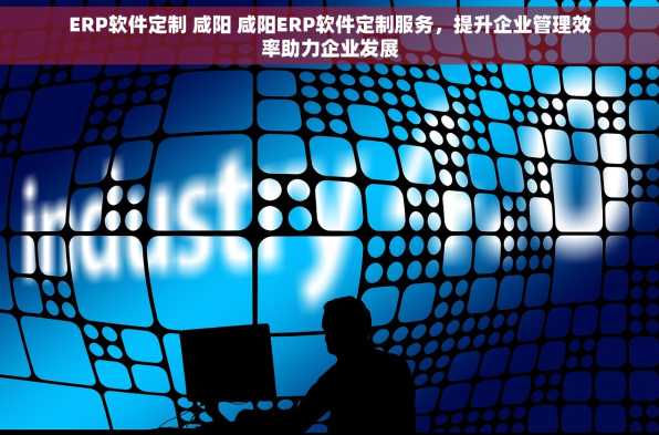 ERP软件定制 咸阳 咸阳ERP软件定制服务，提升企业管理效率助力企业发展