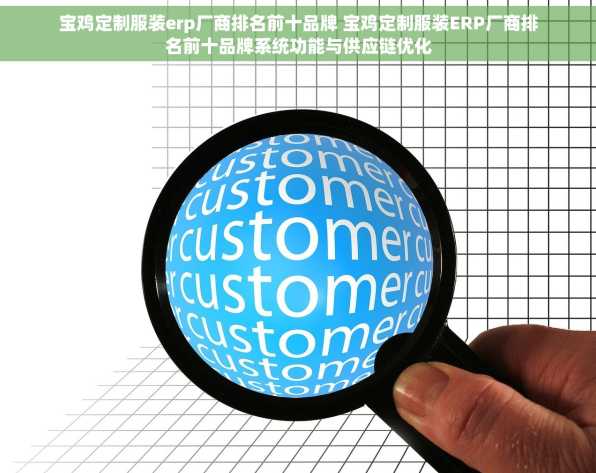 宝鸡定制服装erp厂商排名前十品牌 宝鸡定制服装ERP厂商排名前十品牌系统功能与供应链优化