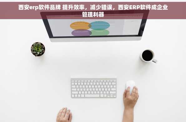 西安erp软件品牌 提升效率，减少错误，西安ERP软件成企业管理利器