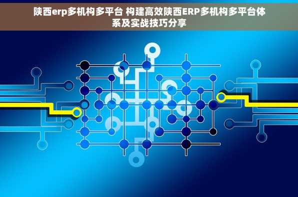 陕西erp多机构多平台 构建高效陕西ERP多机构多平台体系及实战技巧分享