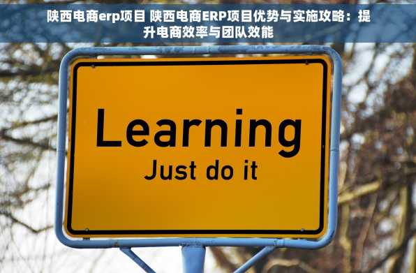 陕西电商erp项目 陕西电商ERP项目优势与实施攻略：提升电商效率与团队效能