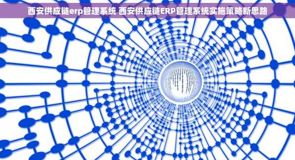 西安供应链erp管理系统 西安供应链ERP管理系统实施策略新思路