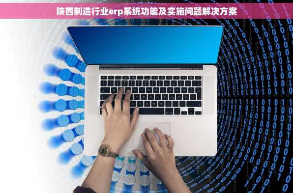 陕西制造行业erp系统功能及实施问题解决方案