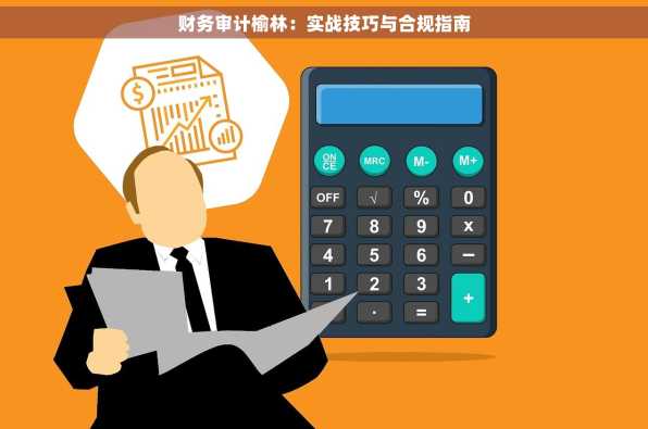 财务审计榆林：实战技巧与合规指南