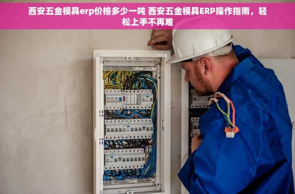 西安五金模具erp价格多少一吨 西安五金模具ERP操作指南，轻松上手不再难
