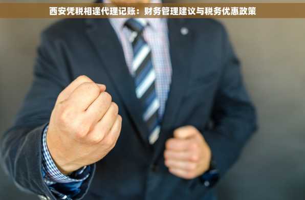 西安凭税相逢代理记账：财务管理建议与税务优惠政策