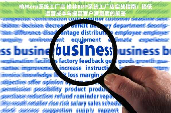 榆林erp系统工厂店 榆林ERP系统工厂店实战指南：降低运营成本与提高客户满意度的策略