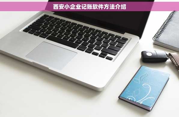 西安小企业记账软件方法介绍