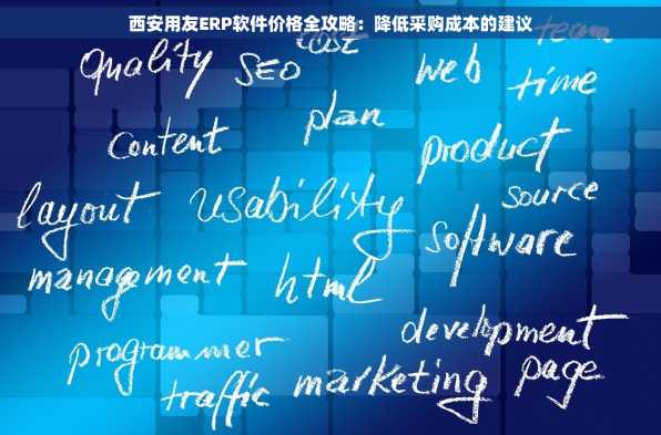 西安用友ERP软件价格全攻略：降低采购成本的建议