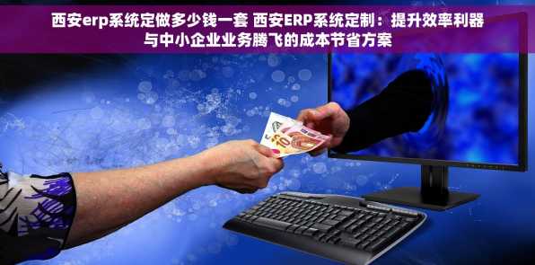西安erp系统定做多少钱一套 西安ERP系统定制：提升效率利器与中小企业业务腾飞的成本节省方案