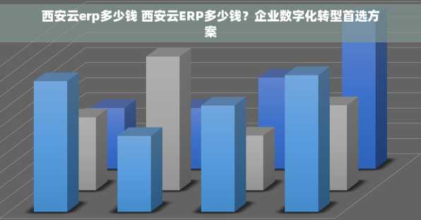 西安云erp多少钱 西安云ERP多少钱？企业数字化转型首选方案