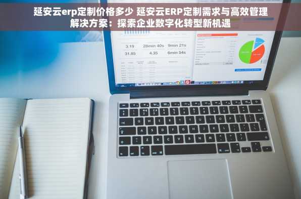 延安云erp定制价格多少 延安云ERP定制需求与高效管理解决方案：探索企业数字化转型新机遇