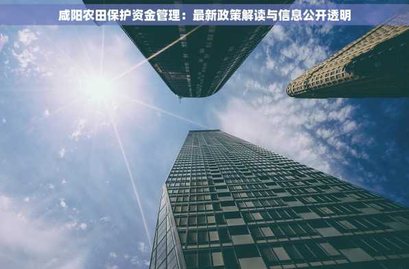 咸阳农田保护资金管理：最新政策解读与信息公开透明