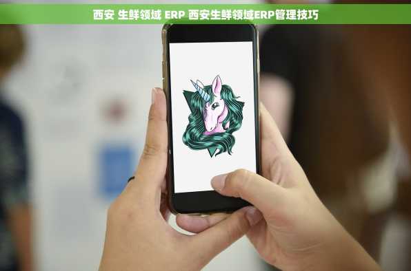西安 生鲜领域 ERP 西安生鲜领域ERP管理技巧