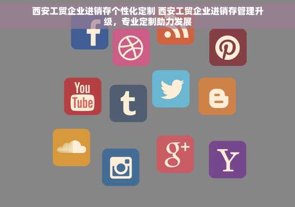 西安工贸企业进销存个性化定制 西安工贸企业进销存管理升级，专业定制助力发展