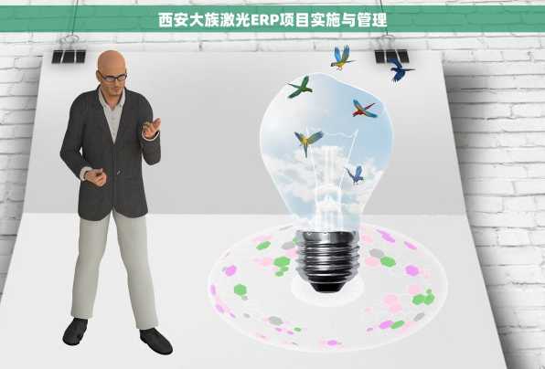 西安大族激光ERP项目实施与管理
