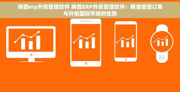 陕西erp外贸管理软件 陕西ERP外贸管理软件：精准管理订单与开拓国际市场的优势