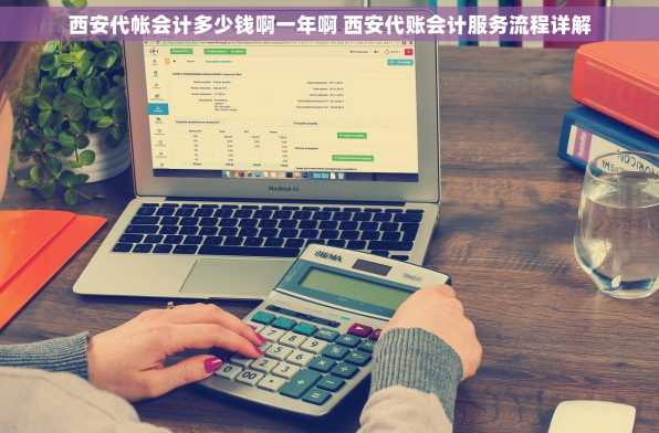 西安代帐会计多少钱啊一年啊 西安代账会计服务流程详解
