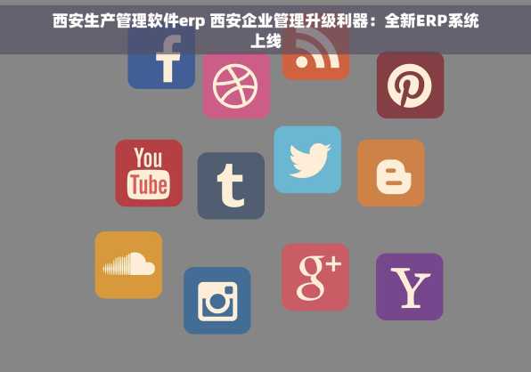 西安生产管理软件erp 西安企业管理升级利器：全新ERP系统上线
