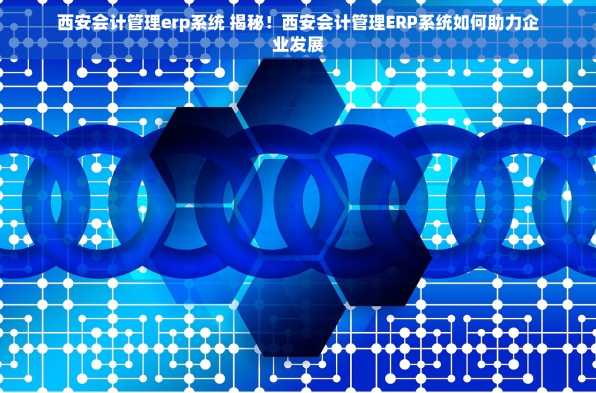 西安会计管理erp系统 揭秘！西安会计管理ERP系统如何助力企业发展