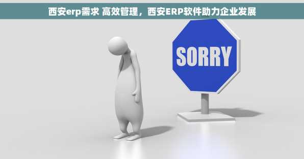 西安erp需求 高效管理，西安ERP软件助力企业发展