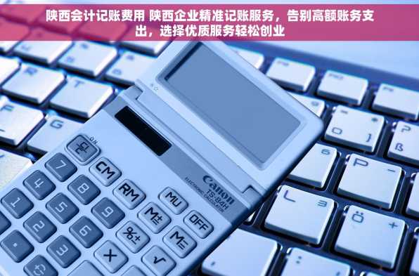 陕西会计记账费用 陕西企业精准记账服务，告别高额账务支出，选择优质服务轻松创业