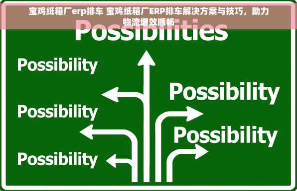 宝鸡纸箱厂erp排车 宝鸡纸箱厂ERP排车解决方案与技巧，助力物流增效顺畅