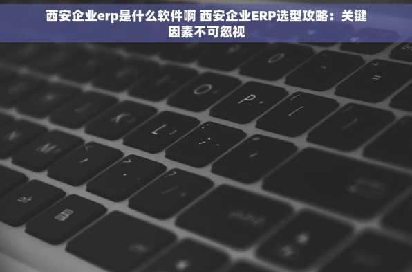 西安企业erp是什么软件啊 西安企业ERP选型攻略：关键因素不可忽视