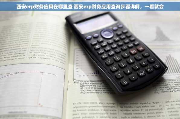 西安erp财务应用在哪里查 西安erp财务应用查询步骤详解，一看就会