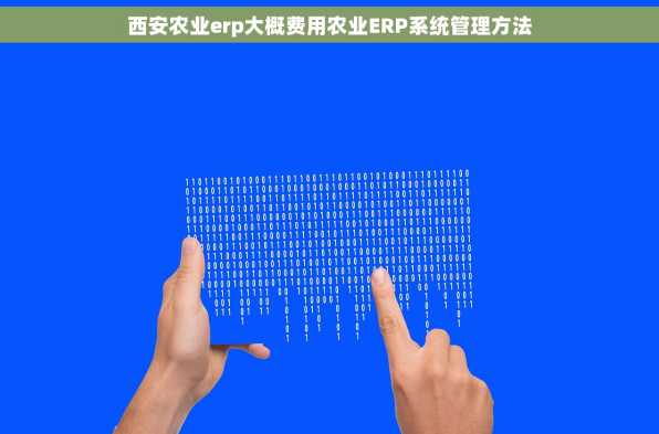 西安农业erp大概费用农业ERP系统管理方法