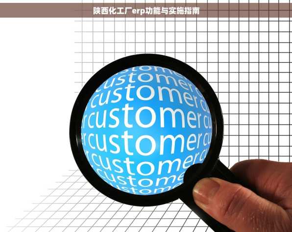 陕西化工厂erp功能与实施指南