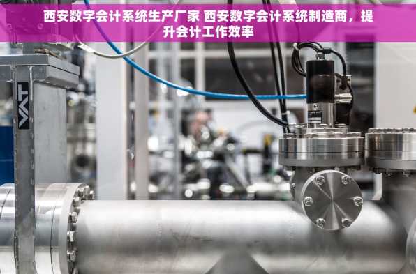 西安数字会计系统生产厂家 西安数字会计系统制造商，提升会计工作效率