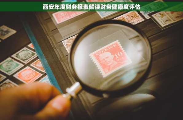 西安年度财务报表解读财务健康度评估