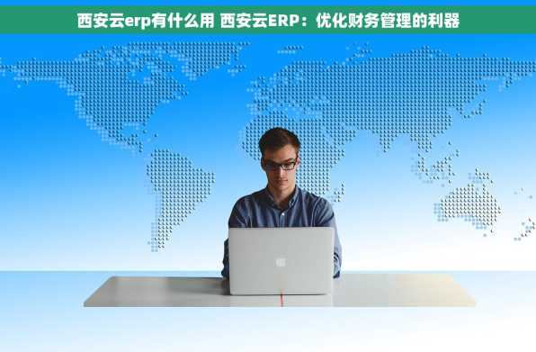 西安云erp有什么用 西安云ERP：优化财务管理的利器