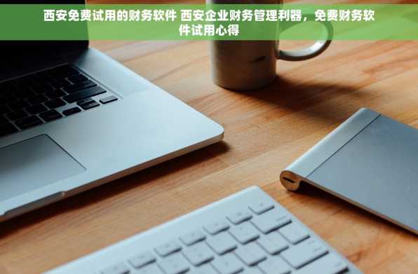 西安免费试用的财务软件 西安企业财务管理利器，免费财务软件试用心得