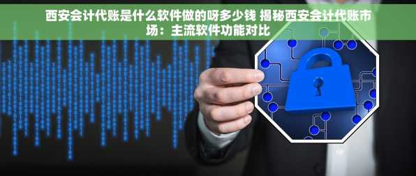 西安会计代账是什么软件做的呀多少钱 揭秘西安会计代账市场：主流软件功能对比