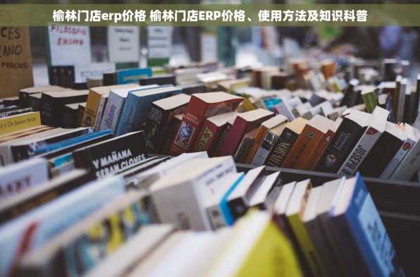 榆林门店erp价格 榆林门店ERP价格、使用方法及知识科普