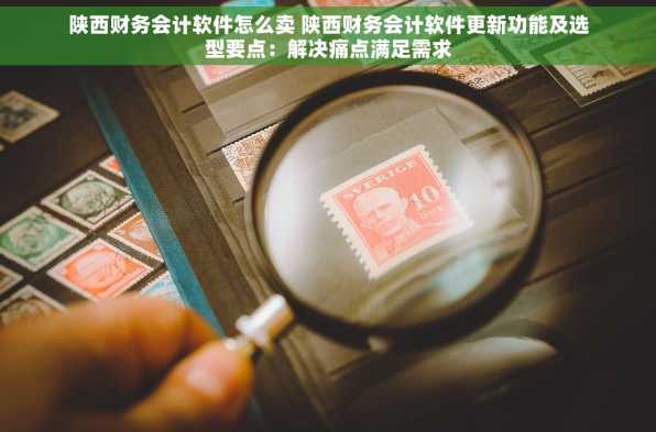 陕西财务会计软件怎么卖 陕西财务会计软件更新功能及选型要点：解决痛点满足需求