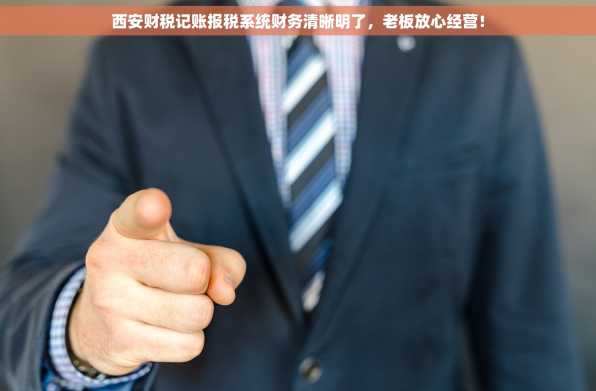 西安财税记账报税系统财务清晰明了，老板放心经营！