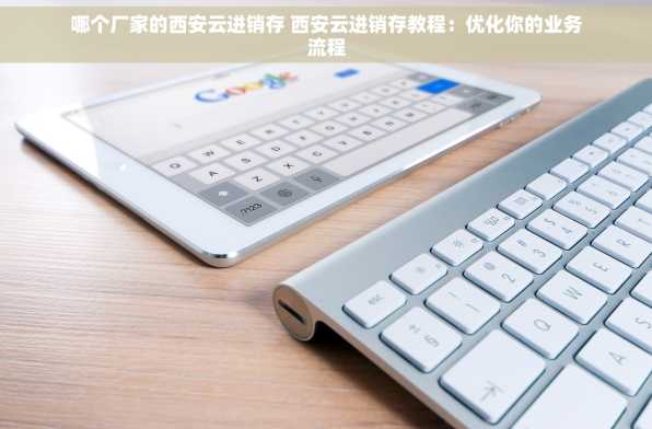 哪个厂家的西安云进销存 西安云进销存教程：优化你的业务流程