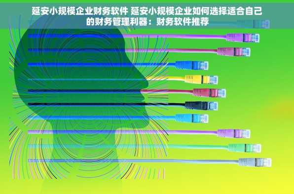延安小规模企业财务软件 延安小规模企业如何选择适合自己的财务管理利器：财务软件推荐