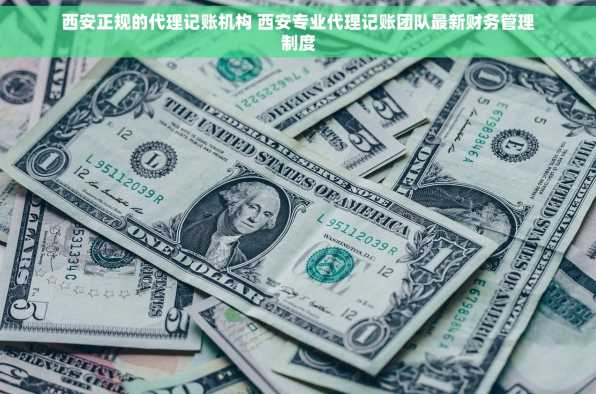 西安正规的代理记账机构 西安专业代理记账团队最新财务管理制度