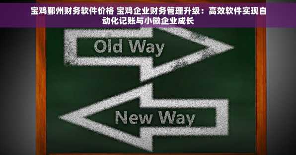 宝鸡鄞州财务软件价格 宝鸡企业财务管理升级：高效软件实现自动化记账与小微企业成长