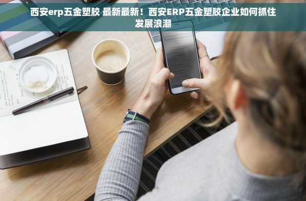 西安erp五金塑胶 最新最新！西安ERP五金塑胶企业如何抓住发展浪潮