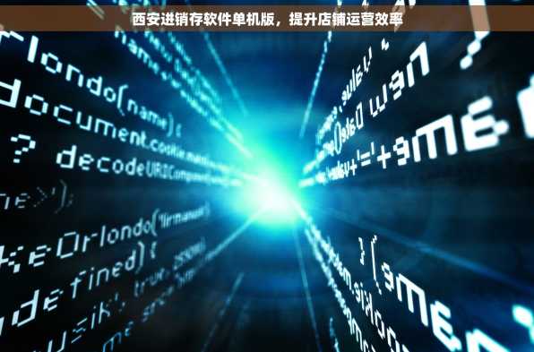 西安进销存软件单机版，提升店铺运营效率