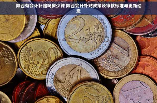 陕西有会计补贴吗多少钱 陕西会计补贴政策及审核标准与更新动态