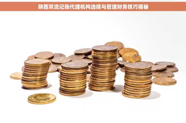 陕西双流记账代理机构选择与管理财务技巧揭秘