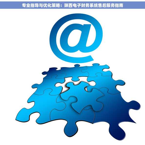 专业指导与优化策略：陕西电子财务系统售后服务指南
